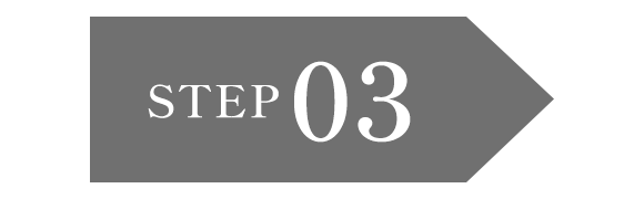 STEP03